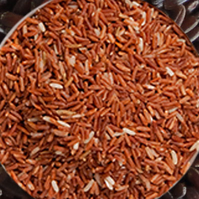 color sorter machine manufacturers in india