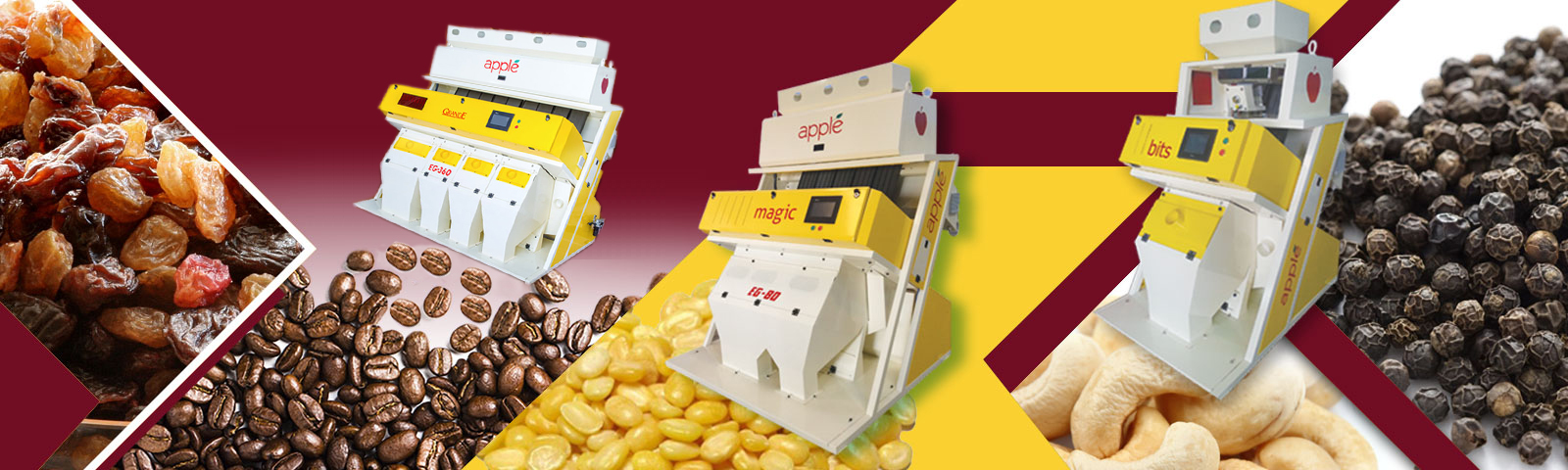 apple sorter