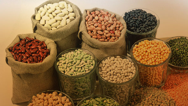 color sorter machine manufacturer